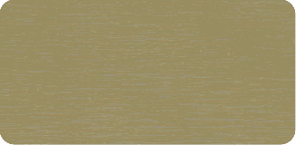 eb-301-brush-gold