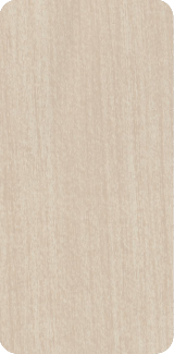 eb-311-gemini-texture